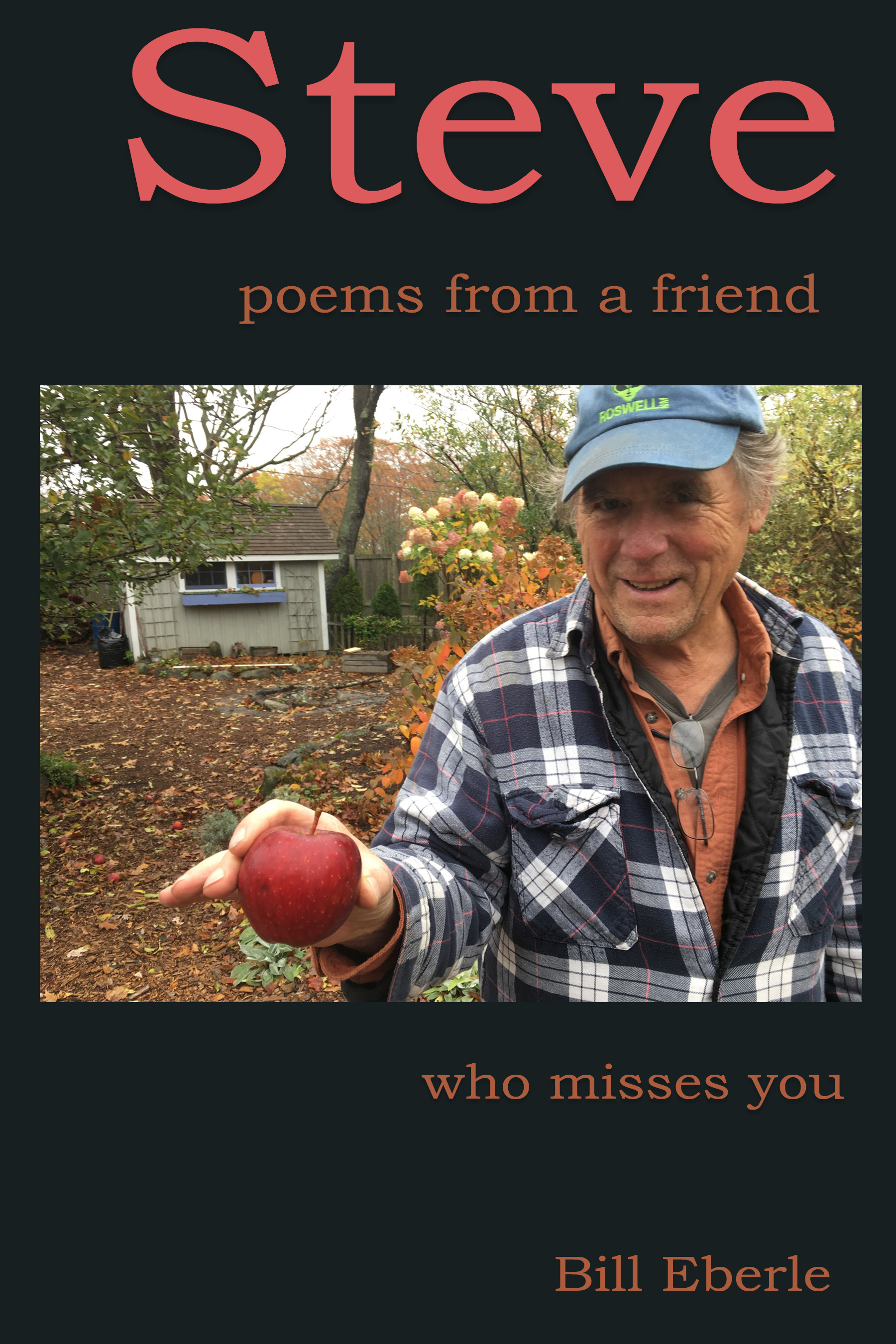Steve — poems from a friend